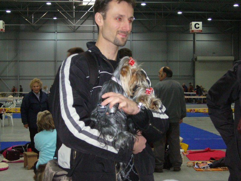 Yorkshire Terrier