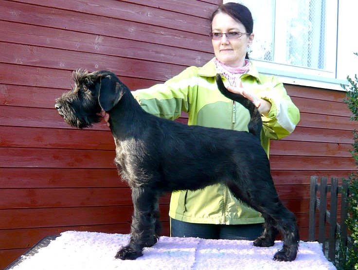 4 months old