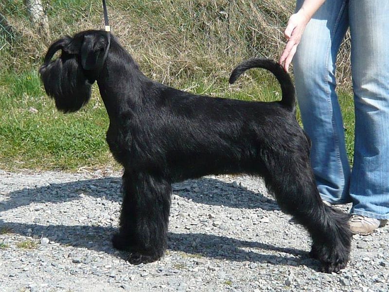 9 months old