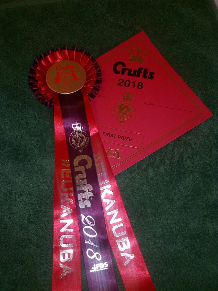 Crufts 2018