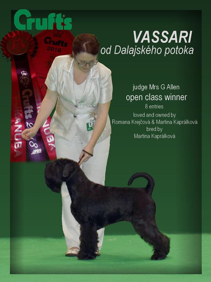 Crufts 2018