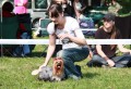 Cheilla Prima Grichia - 4
