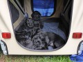 Vassari od Dalajského potoka - 3
