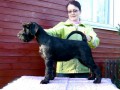 Sarka - 1