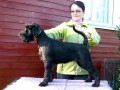 Sarka - 2